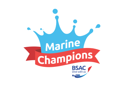 BSAC Marine Champions